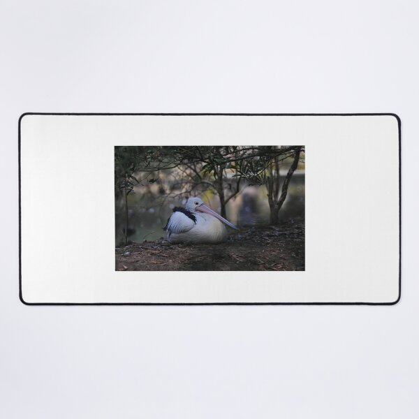Item preview, Pelican at Healesville II designed and sold by Tom Newman.