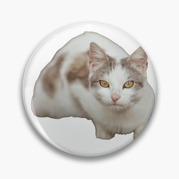 Item preview, Lovely White Cat designed and sold by roasted-peanuts.