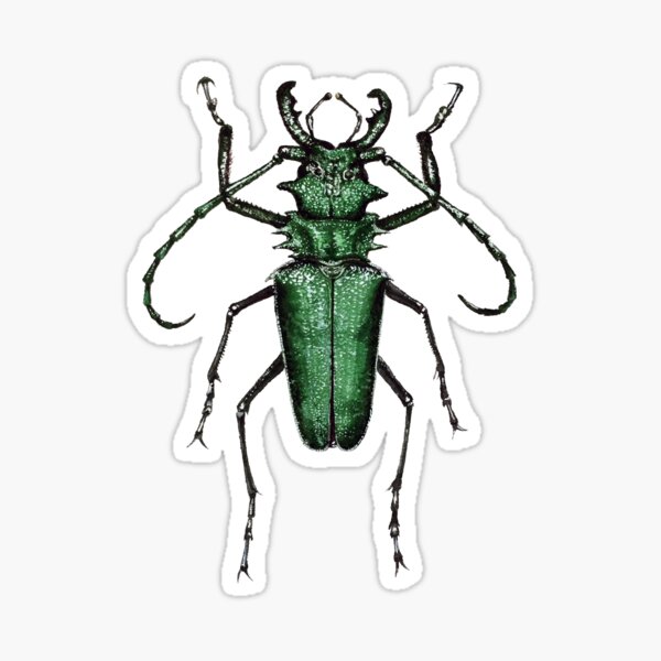 Item preview,  Psalidognathus friendi Beetle designed and sold by Roxytee.