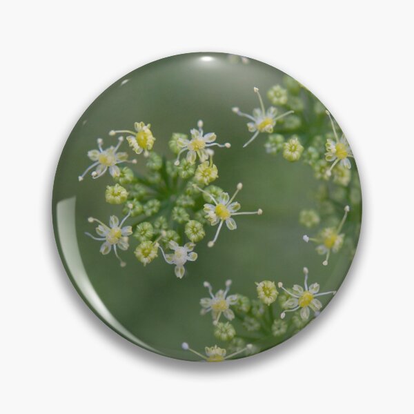 Artikelvorschau, Petersilienblüten entworfen und verkauft von GreenNote.