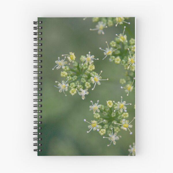 Item preview, Flores de perejil designed and sold by GreenNote.