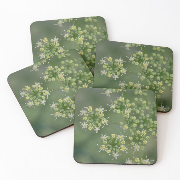 Item preview, Flores de perejil designed and sold by GreenNote.