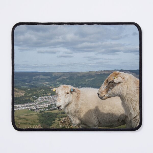 Item preview, Photobombing Sheep designed and sold by Judi Lion.