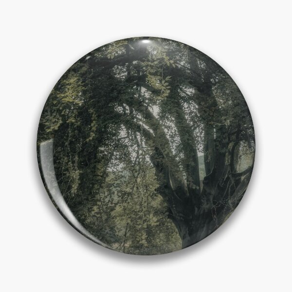 Item preview, 'Veneration', a notable beech tree, Highland Perthshire. designed and sold by mucklepawprint.