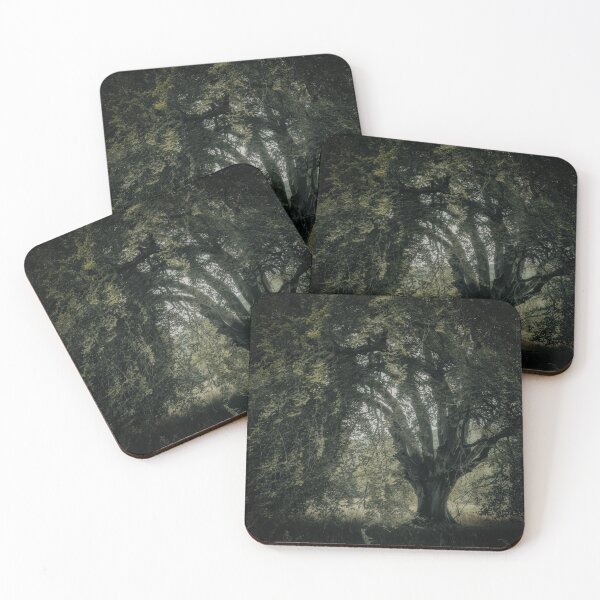 Item preview, 'Veneration', a notable beech tree, Highland Perthshire. designed and sold by mucklepawprint.