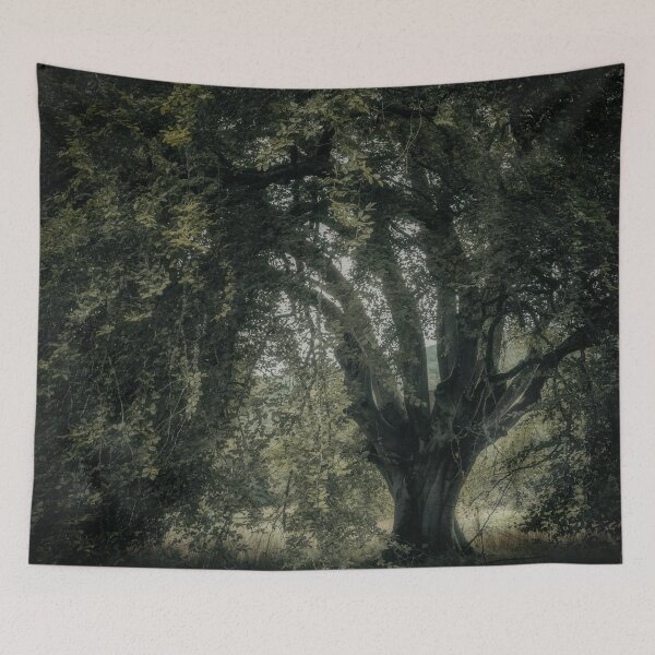 Item preview, 'Veneration', a notable beech tree, Highland Perthshire. designed and sold by mucklepawprint.