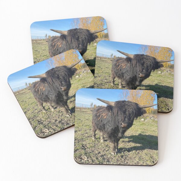Item preview, Scottish Highland Cattle Bull Calf 3017 designed and sold by SaarelaHighland.
