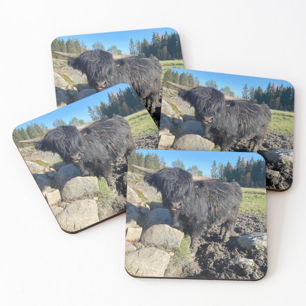 Item preview, Scottish Highland Cattle Bull Calf 3019 designed and sold by SaarelaHighland.
