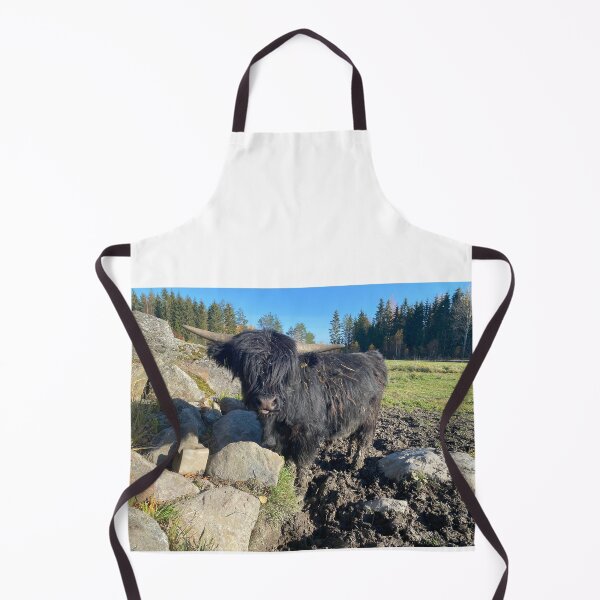 Item preview, Scottish Highland Cattle Bull Calf 3019 designed and sold by SaarelaHighland.