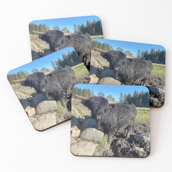 Item preview, Scottish Highland Cattle Bull Calf 3020 designed and sold by SaarelaHighland.