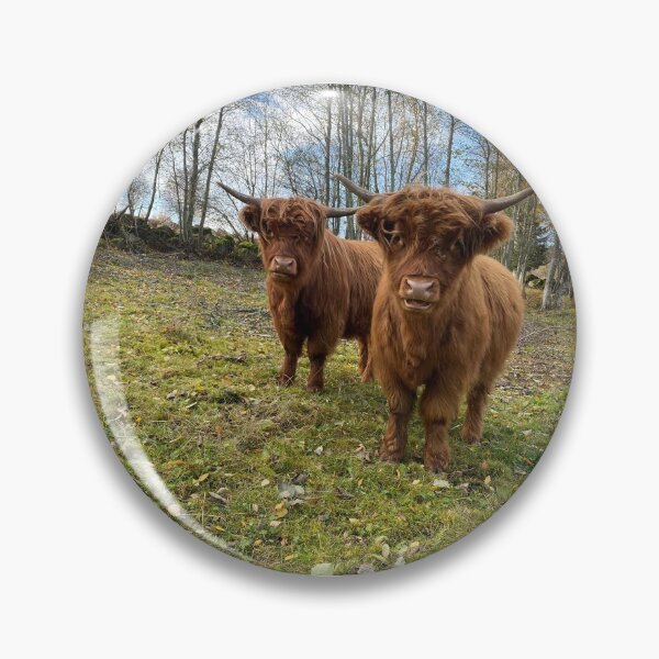 Artikelvorschau, Scottish Highland Cattle Calves 3021 entworfen und verkauft von SaarelaHighland.