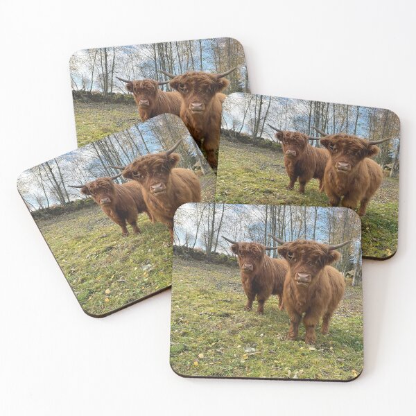 Item preview, Scottish Highland Cattle Calves 3021 designed and sold by SaarelaHighland.