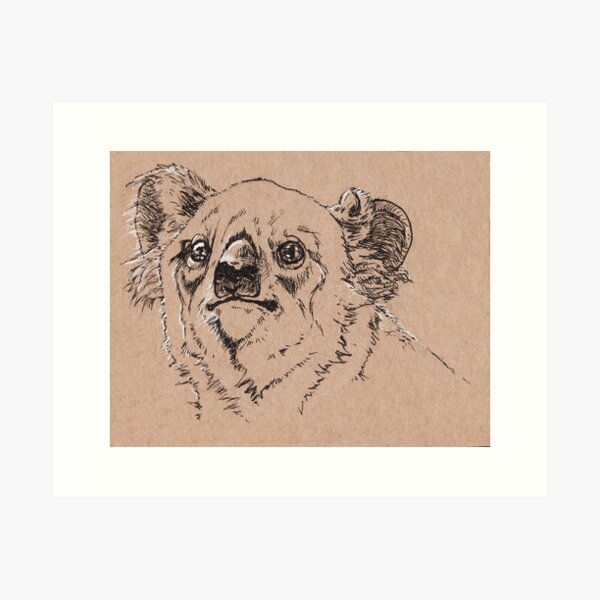 Koala Bear Art Print