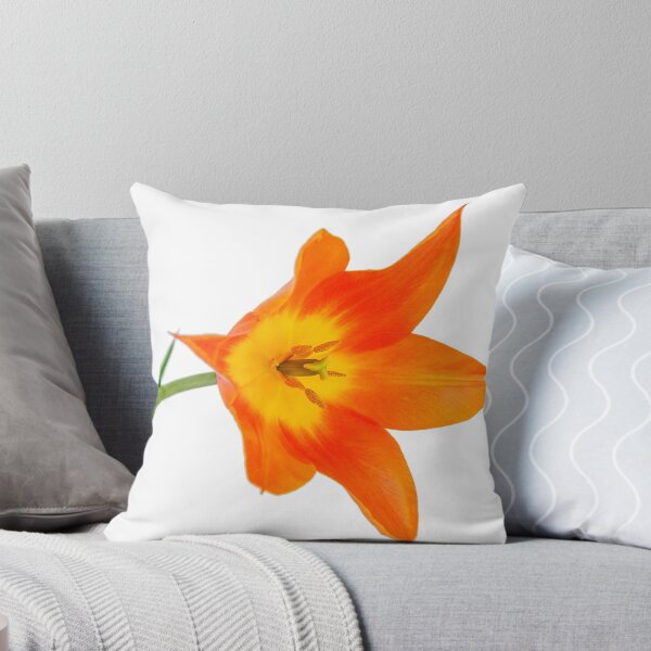 Item preview, Beautiful orange  tulip designed and sold by Ekaterina Shvetsova.