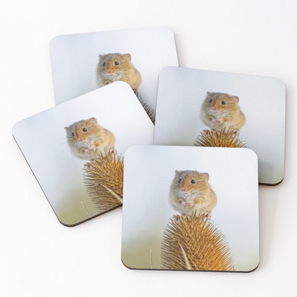 Item preview, Harvest Mouse on Teasel designed and sold by Graham Prentice.