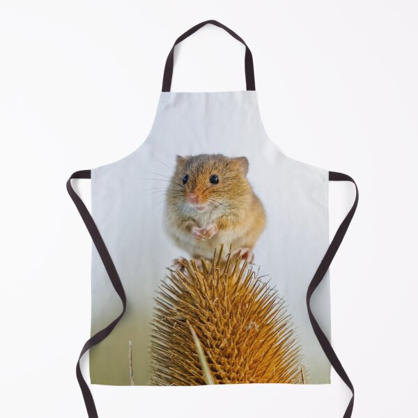 Item preview, Harvest Mouse on Teasel designed and sold by Graham Prentice.