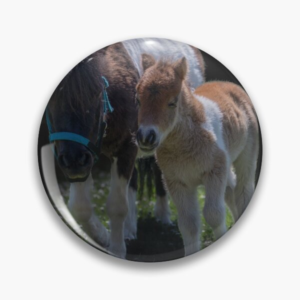 Item preview, Sweet mini Shetlands designed and sold by OskiOnTour.