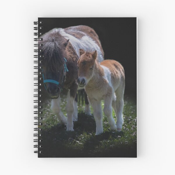 Item preview, Sweet mini Shetlands designed and sold by OskiOnTour.
