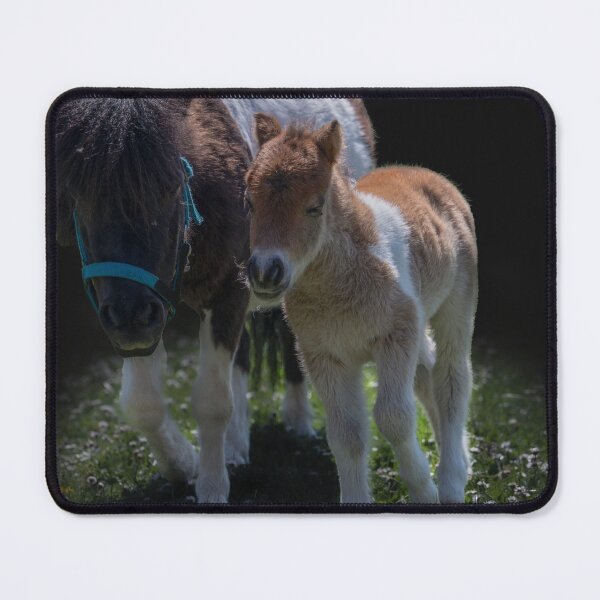 Item preview, Sweet mini Shetlands designed and sold by OskiOnTour.