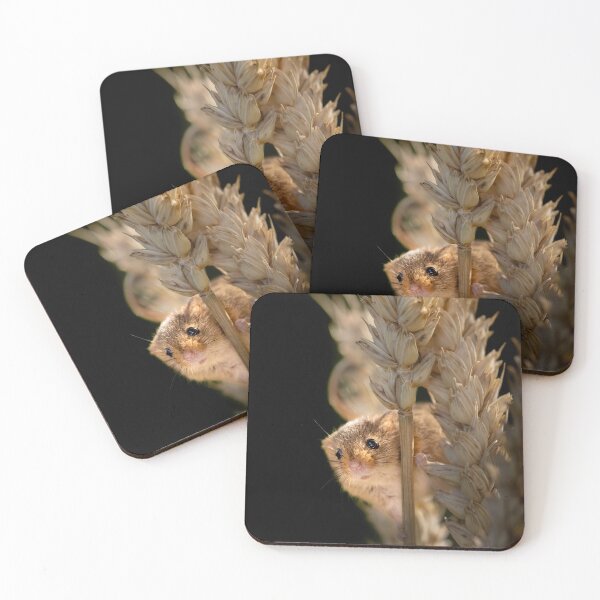 Item preview, Harvest Mouse on Ear of Corn designed and sold by Graham Prentice.