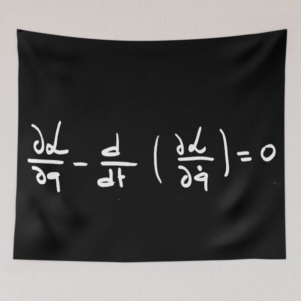 Item preview, Euler lagrange equation handwritten, physics and science designed and sold by NoetherSym.