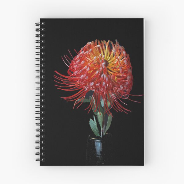 Item preview, Leucospermum cordifolium designed and sold by Mythos57.