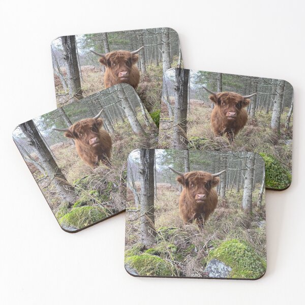 Item preview, Scottish Highland Cattle Calf 3030 designed and sold by SaarelaHighland.