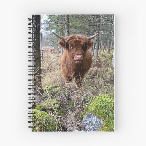 Item preview, Scottish Highland Cattle Calf 3030 designed and sold by SaarelaHighland.