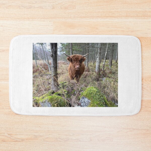 Item preview, Scottish Highland Cattle Calf 3030 designed and sold by SaarelaHighland.