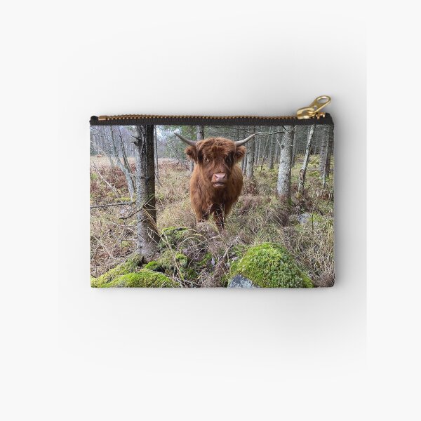 Item preview, Scottish Highland Cattle Calf 3030 designed and sold by SaarelaHighland.