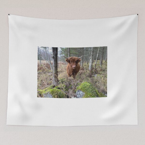 Item preview, Scottish Highland Cattle Calf 3030 designed and sold by SaarelaHighland.