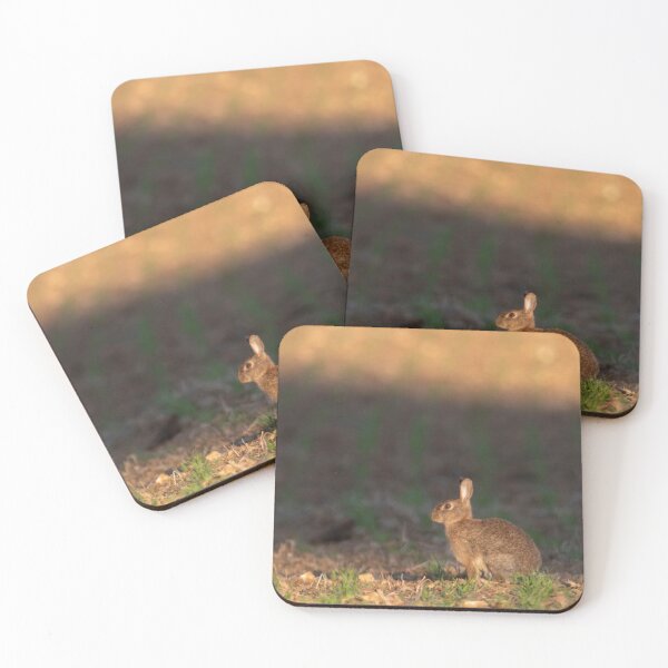 Item preview, Hare in early morning sun designed and sold by RazzaBlu.