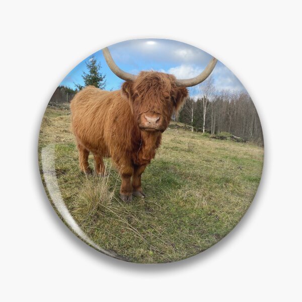 Item preview, Scottish Highland Cattle Cow 3032 designed and sold by SaarelaHighland.