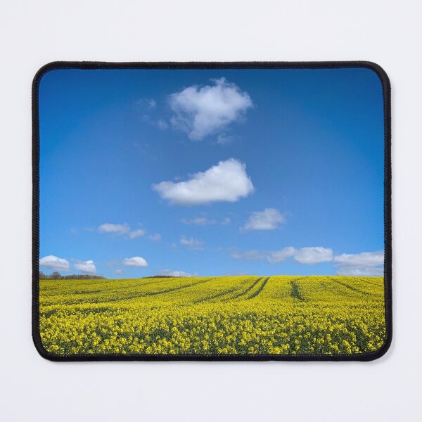Item preview, Rapeseed field with blue sky designed and sold by RazzaBlu.