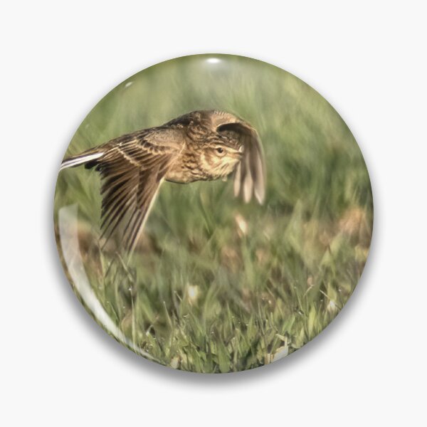 Item preview, Skylark ascending but slowly designed and sold by RazzaBlu.