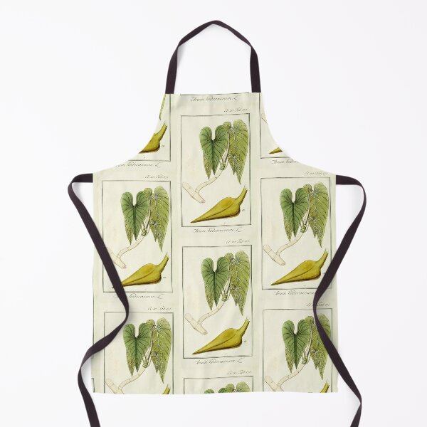Item preview, Mature Heartleaf Philodendron - Philodendron hederaceum - Botanical Illustration designed and sold by chimakingthings.