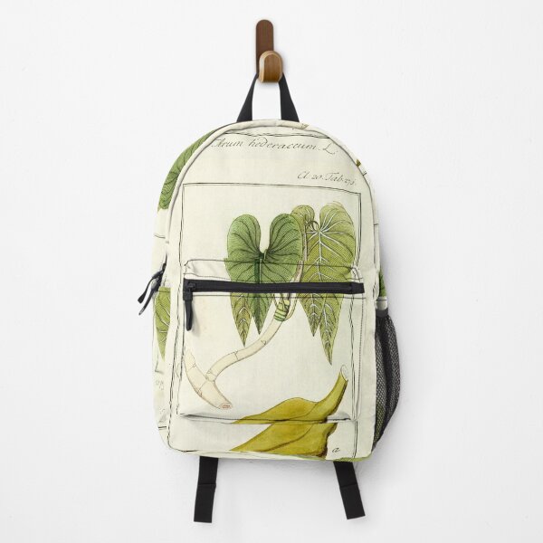 Item preview, Mature Heartleaf Philodendron - Philodendron hederaceum - Botanical Illustration designed and sold by chimakingthings.