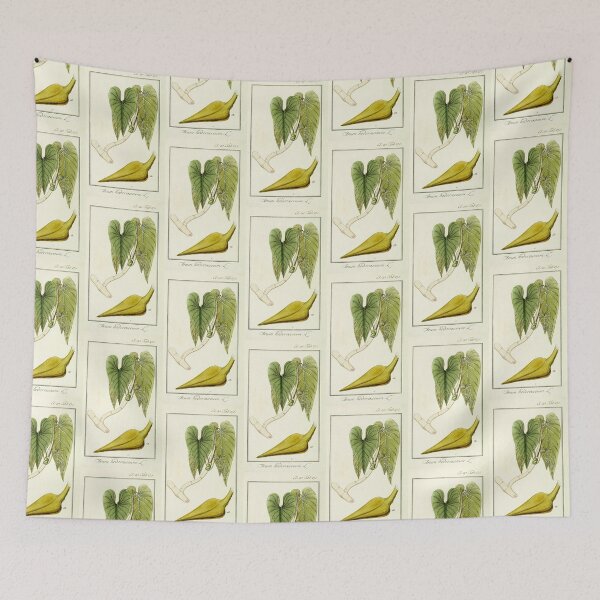 Item preview, Mature Heartleaf Philodendron - Philodendron hederaceum - Botanical Illustration designed and sold by chimakingthings.