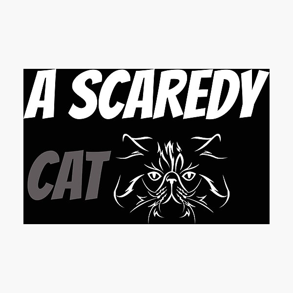 Scaredy cats Photographic Print by Getaway21