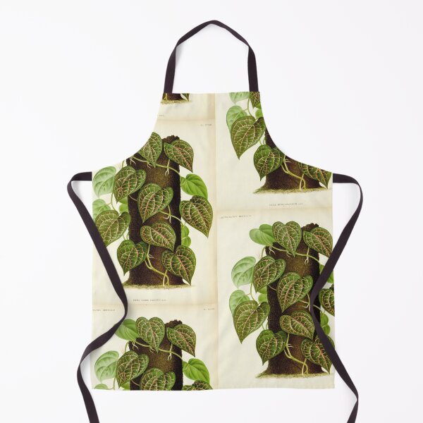 Item preview, Piper ornatum - botanical illustration designed and sold by chimakingthings.