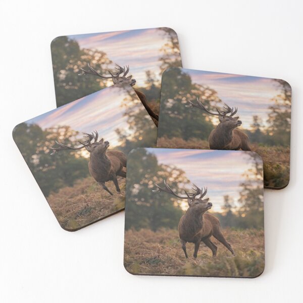Item preview, Dawn display designed and sold by Junkyardmax.