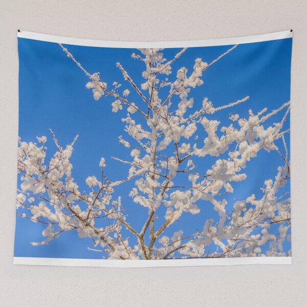 Item preview, Snow covered trees and branches designed and sold by Photopat.