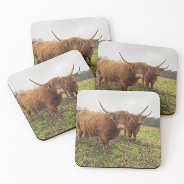 Item preview, Scottish Highland Cattle Cows 3049 designed and sold by SaarelaHighland.