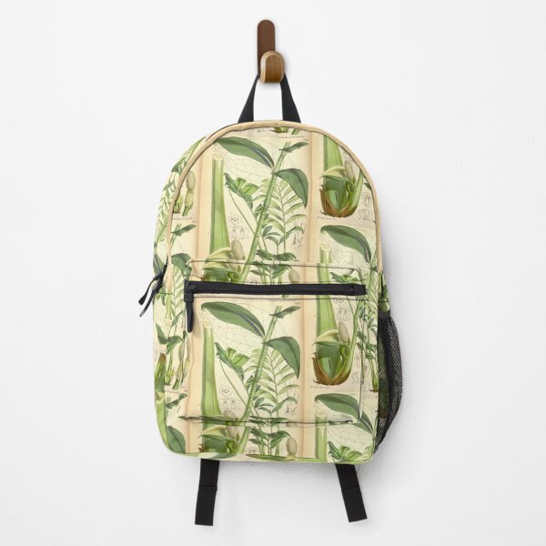 Item preview, ZZ plant - botanical illustration designed and sold by chimakingthings.