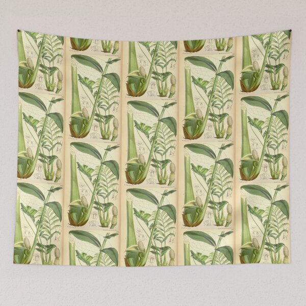 Item preview, ZZ plant - botanical illustration designed and sold by chimakingthings.