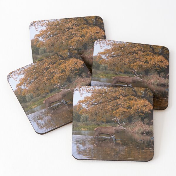 Item preview, Autumn stag crossing stream designed and sold by Junkyardmax.