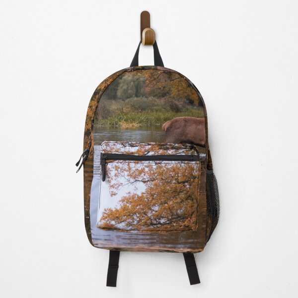 Item preview, Autumn stag crossing stream designed and sold by Junkyardmax.