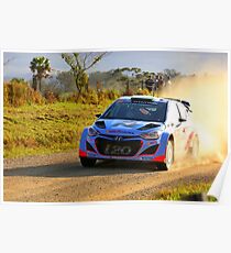 Flying Kiwi Poster