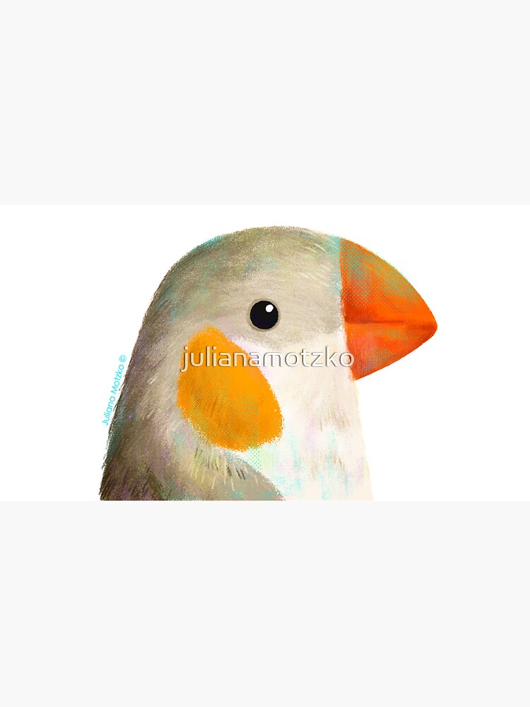 Penguin Zebra Finch Bird by julianamotzko
