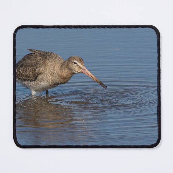 Item preview, Black Tailed Godwit designed and sold by LaurenTucker.